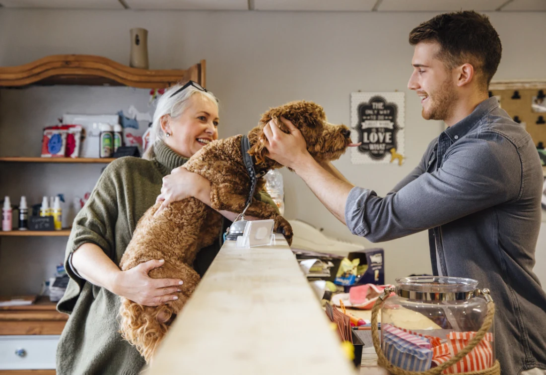 Dog being pet over store counter